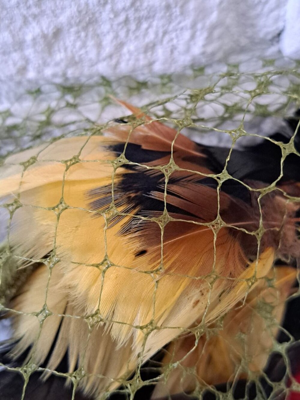 Vintage Pillbox Hat Green Pheasant Feather Multicolor Netting Retro Womens OS - Picture 3 of 11